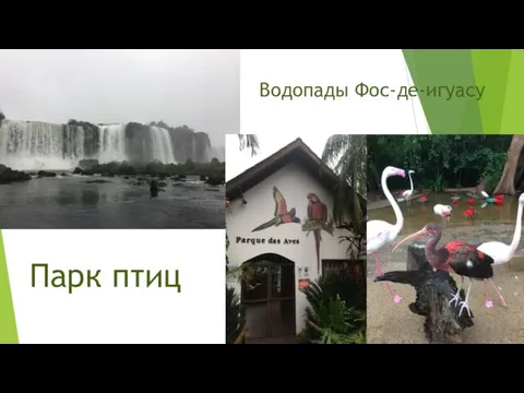 Водопады Фос-де-игуасу Парк птиц