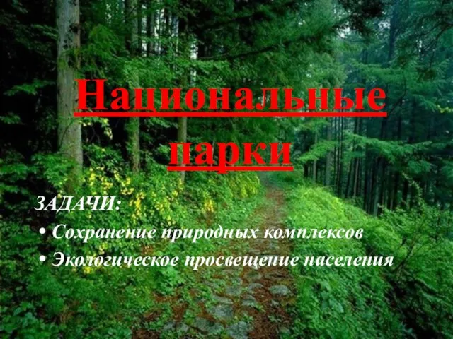 Национальные парки ЗАДАЧИ: Сохранение природных комплексов Экологическое просвещение населения