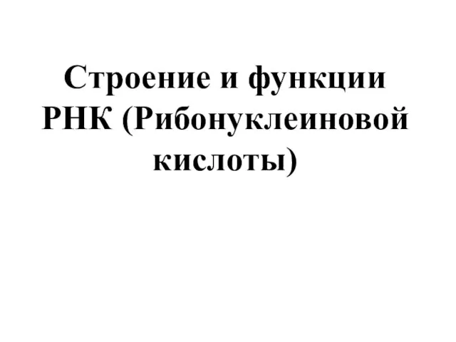 Строение и функции РНК (Рибонуклеиновой кислоты)