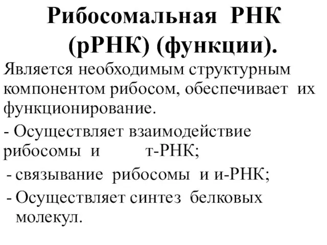 Рибосомальная РНК (рРНК) (функции). Является необходимым структурным компонентом рибосом, обеспечивает их функционирование.