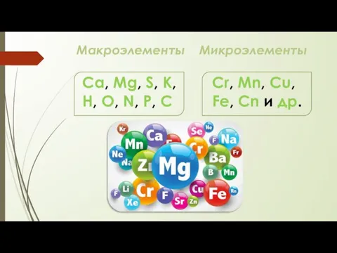 Макроэлементы Микроэлементы Ca, Mg, S, K, H, O, N, P, C Cr,