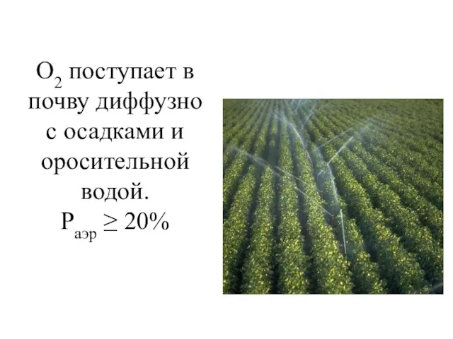 О2 поступает в почву диффузно с осадками и оросительной водой. Pаэр ≥ 20%