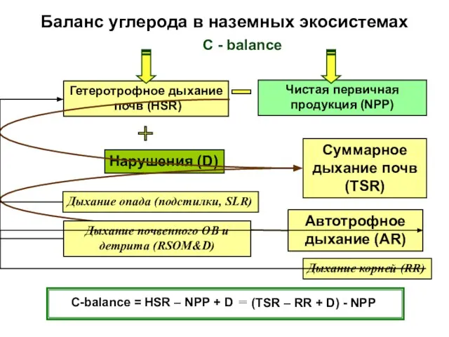 Баланс углерода в наземных экосистемах C - balance C-balance = HSR – NPP + D