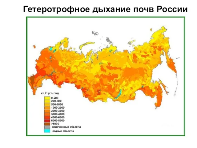 Гетеротрофное дыхание почв России