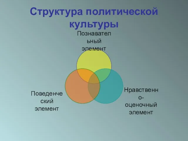 Структура политической культуры