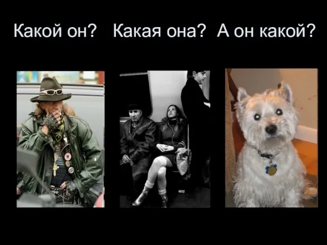 Какой он? Какая она? А он какой?