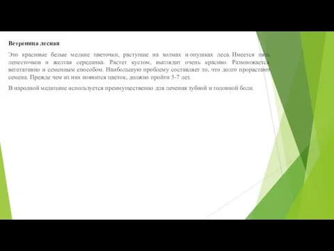 Ветреница лесная Это красивые белые мелкие цветочки, растущие на холмах и опушках