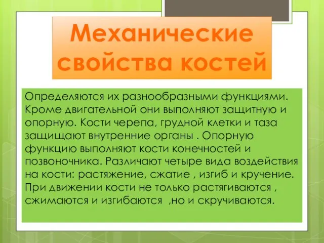 Механические свойства костей Определяются их разнообразными функциями. Кроме двигательной они выполняют защитную