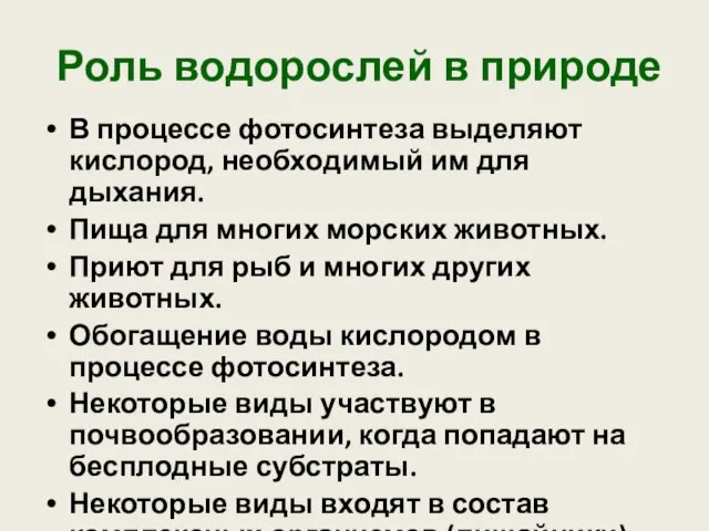 Роль водорослей в природе В процессе фотосинтеза выделяют кислород, необходимый им для