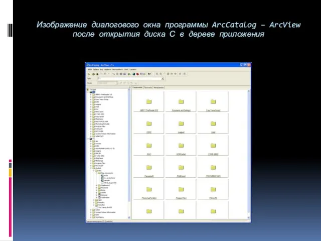 Изображение диалогового окна программы ArcCatalog – ArcView после открытия диска С в дереве приложения