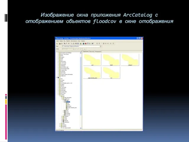 Изображение окна приложения ArcCatalog с отображением объектов floodcov в окне отображения