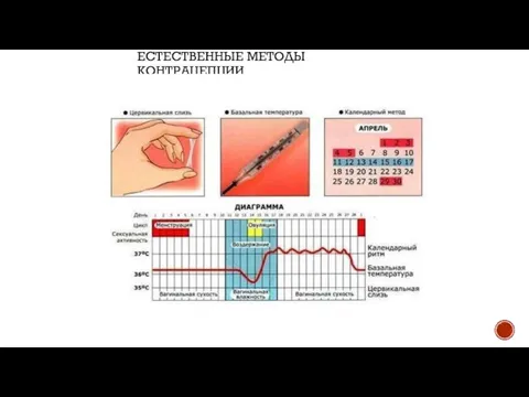 ЕСТЕСТВЕННЫЕ МЕТОДЫ КОНТРАЦЕПЦИИ