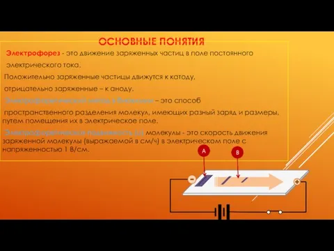 ОСНОВНЫЕ ПОНЯТИЯ Электрофорез - это движение заряженных частиц в поле постоянного электрического