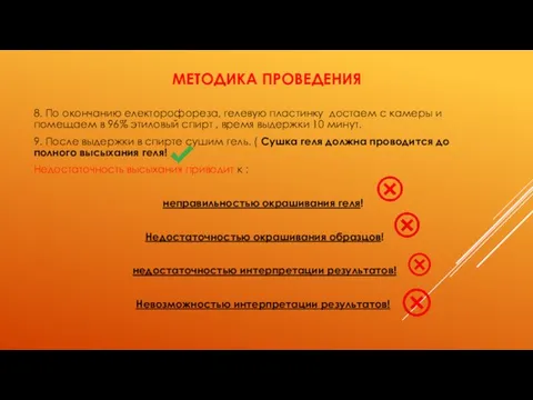 МЕТОДИКА ПРОВЕДЕНИЯ 8. По окончанию електорофореза, гелевую пластинку достаем с камеры и