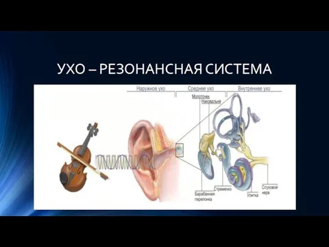 УХО – РЕЗОНАНСНАЯ СИСТЕМА