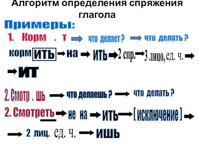 Алгоритм определения спряжения глагола Примеры: 1. Корм . т что делает ?