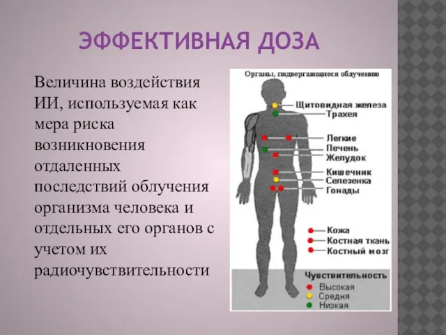 ЭФФЕКТИВНАЯ ДОЗА Величина воздействия ИИ, используемая как мера риска возникновения отдаленных последствий