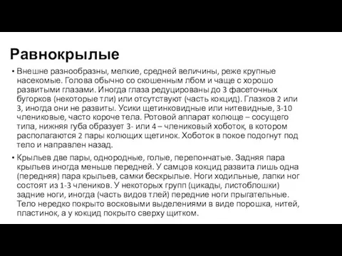 Равнокрылые Внешне разнообразны, мелкие, средней величины, реже крупные насекомые. Голова обычно со