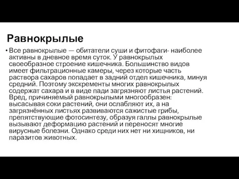 Равнокрылые Все равнокрылые — обитатели суши и фитофаги- наиболее активны в дневное