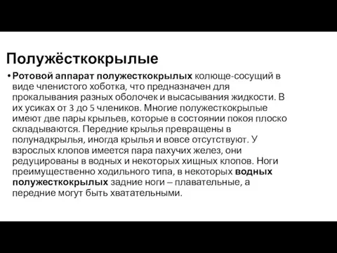 Полужёсткокрылые Ротовой аппарат полужесткокрылых колюще-сосущий в виде членистого хоботка, что предназначен для