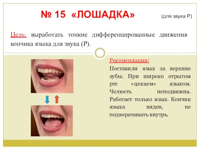 № 15 «ЛОШАДКА» (для звука Р) Цель: выработать тонкие дифференцированные движения кончика