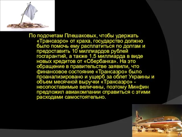 По подсчетам Плешаковых, чтобы удержать «Трансаэро» от краха, государство должно было помочь