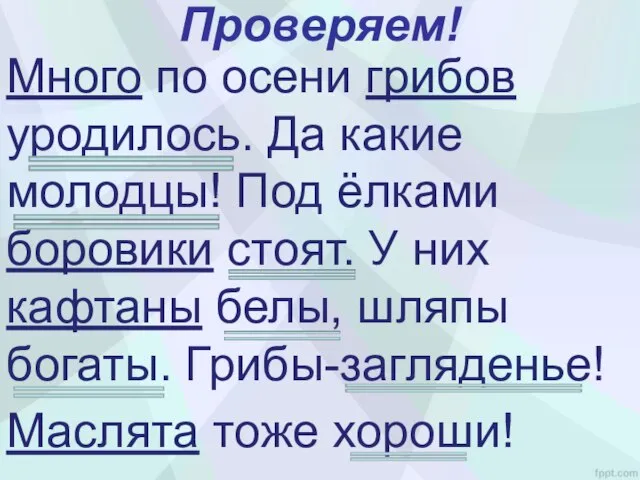 Проверяем! Много по осени грибов уродилось. Да какие молодцы! Под ёлками боровики