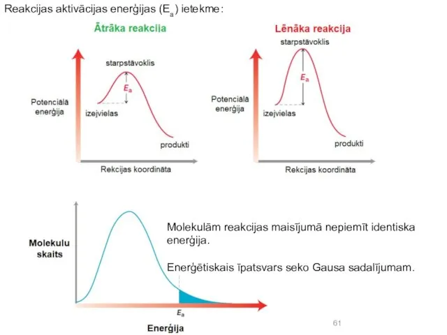Reakcijas aktivācijas enerģijas (Ea) ietekme: Molekulām reakcijas maisījumā nepiemīt identiska enerģija. Enerģētiskais īpatsvars seko Gausa sadalījumam.