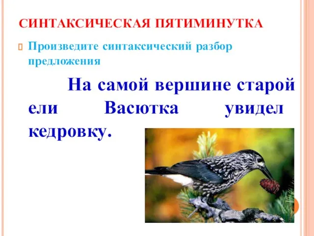 СИНТАКСИЧЕСКАЯ ПЯТИМИНУТКА Произведите синтаксический разбор предложения На самой вершине старой ели Васютка увидел кедровку.