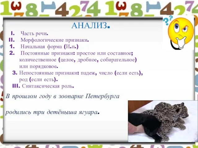 АНАЛИЗ. В прошлом году в зоопарке Петербурга родились три детёныша ягуара. Часть