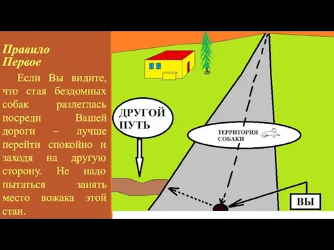 Правило Первое Если Вы видите, что стая бездомных собак разлеглась посреди Вашей