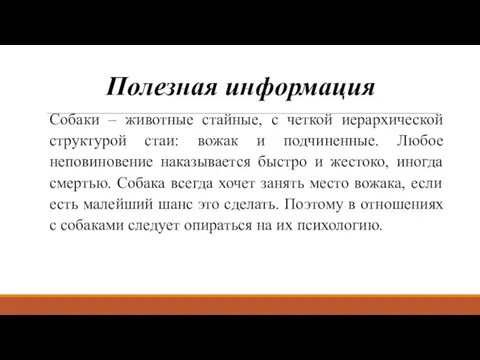 Полезная информация Собаки – животные стайные, с четкой иерархической структурой стаи: вожак