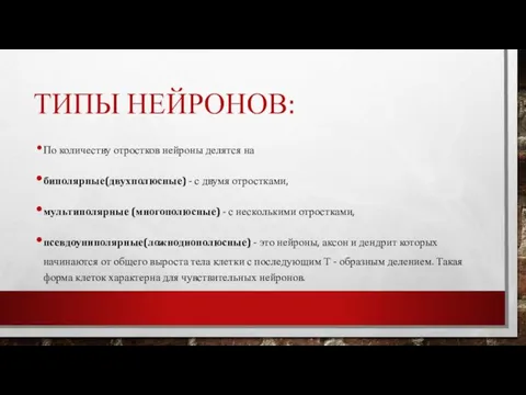 ТИПЫ НЕЙРОНОВ: По количеству отростков нейроны делятся на биполярные(двухполюсные) - с двумя