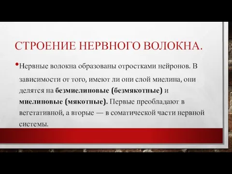 СТРОЕНИЕ НЕРВНОГО ВОЛОКНА. Нервные волокна образованы отростками нейронов. В зависимости от того,