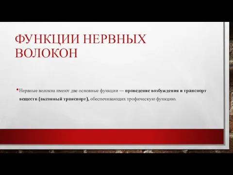 ФУНКЦИИ НЕРВНЫХ ВОЛОКОН Нервные волокна имеют две основные функции — проведение возбуждения