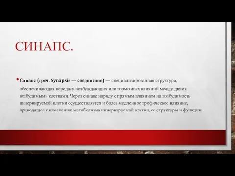 СИНАПС. Синапс (греч. Synapsis — соединение) — специализированная структура, обеспечивающая передачу возбуждающих