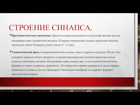 СТРОЕНИЕ СИНАПСА. Пресинаптическое окончание образуется расширениями по ходу разветвления аксо­на, иннервирующего мышечное