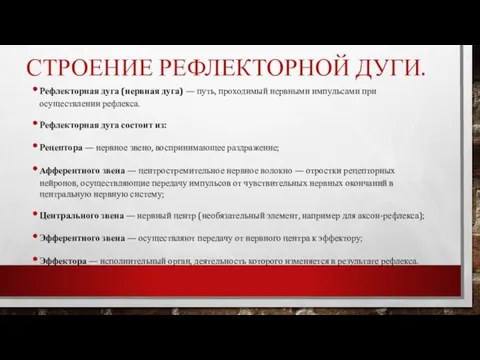 СТРОЕНИЕ РЕФЛЕКТОРНОЙ ДУГИ. Рефлекторная дуга (нервная дуга) — путь, проходимый нервными импульсами