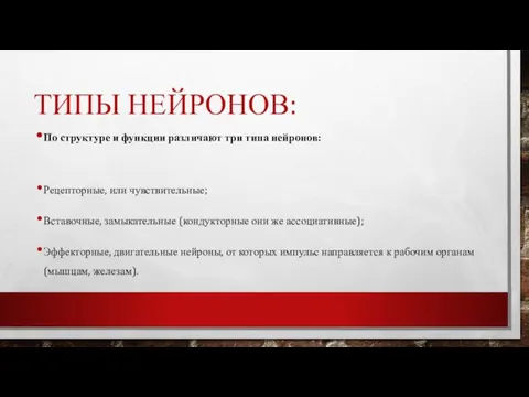 ТИПЫ НЕЙРОНОВ: По структуре и функции различают три типа нейронов: Рецепторные, или