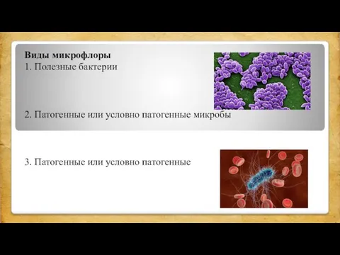 Виды микрофлоры 1. Полезные бактерии 2. Патогенные или условно патогенные микробы 3. Патогенные или условно патогенные