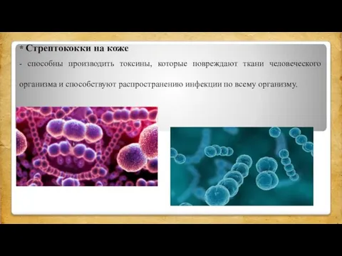 * Стрептококки на коже - способны производить токсины, которые повреждают ткани человеческого