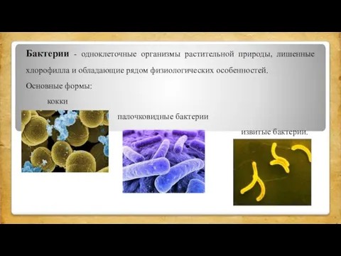 Бактерии - одноклеточные организмы растительной природы, лишенные хлорофилла и обладающие рядом физиологических