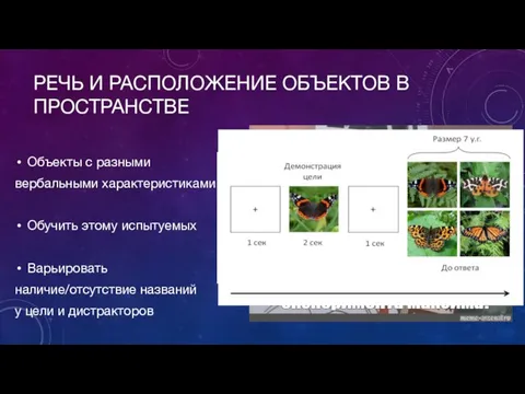 РЕЧЬ И РАСПОЛОЖЕНИЕ ОБЪЕКТОВ В ПРОСТРАНСТВЕ Объекты с разными вербальными характеристиками Обучить