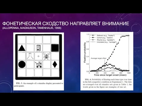 ФОНЕТИЧЕСКАЯ СХОДСТВО НАПРАВЛЯЕТ ВНИМАНИЕ (ALLOPENNA, MAGNUSON, TANENHAUS, 1998)