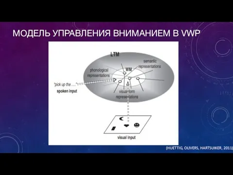 МОДЕЛЬ УПРАВЛЕНИЯ ВНИМАНИЕМ В VWP (HUETTIG, OLIVERS, HARTSUIKER, 2011)