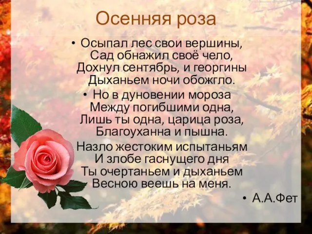 Осенняя роза Осыпал лес свои вершины, Сад обнажил своё чело, Дохнул сентябрь,