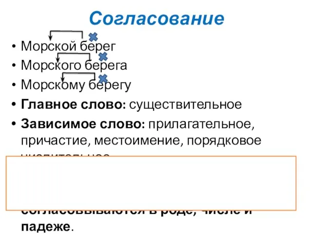 Согласование Морской берег Морского берега Морскому берегу Главное слово: существительное Зависимое слово: