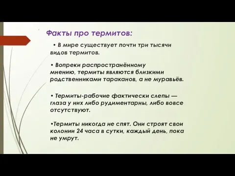 • В мире существует почти три тысячи видов термитов. • Вопреки распространённому