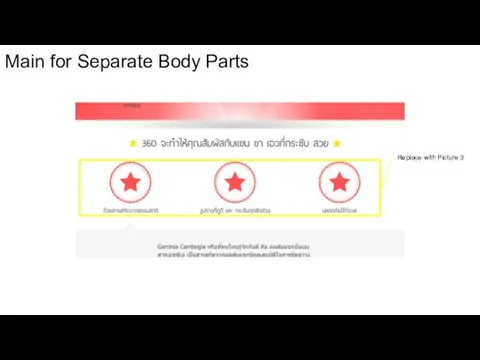 Main for Separate Body Parts Replace with Picture 3