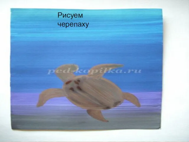 Рисуем черепаху